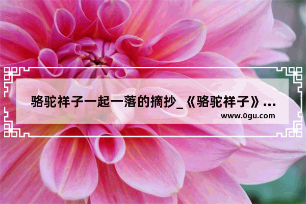 骆驼祥子一起一落的摘抄_《骆驼祥子》中祥子在经历三起三落后所说的话