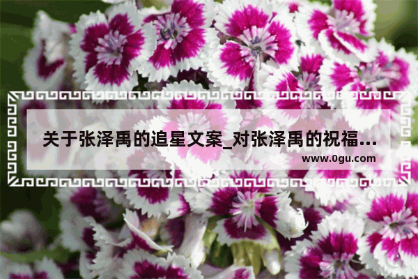 关于张泽禹的追星文案_对张泽禹的祝福句子