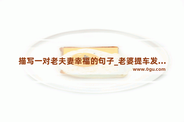 描写一对老夫妻幸福的句子_老婆提车发朋友圈的句子
