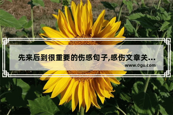 先来后到很重要的伤感句子,感伤文章关于爱情的句子
