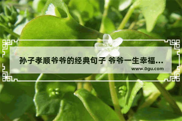 孙子孝顺爷爷的经典句子 爷爷一生幸福平安的句子