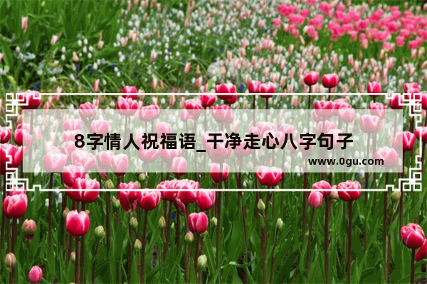 8字情人祝福语_干净走心八字句子