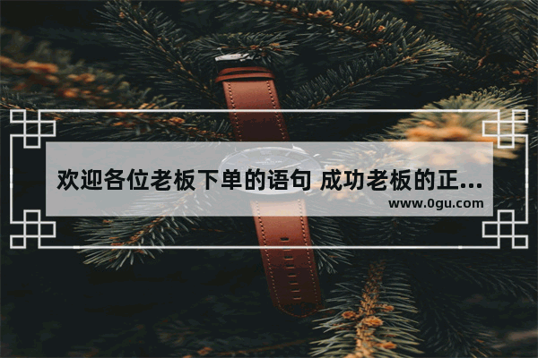 欢迎各位老板下单的语句 成功老板的正能量句子说说