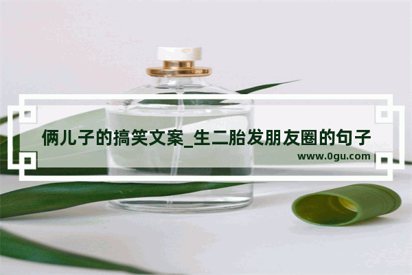 俩儿子的搞笑文案_生二胎发朋友圈的句子
