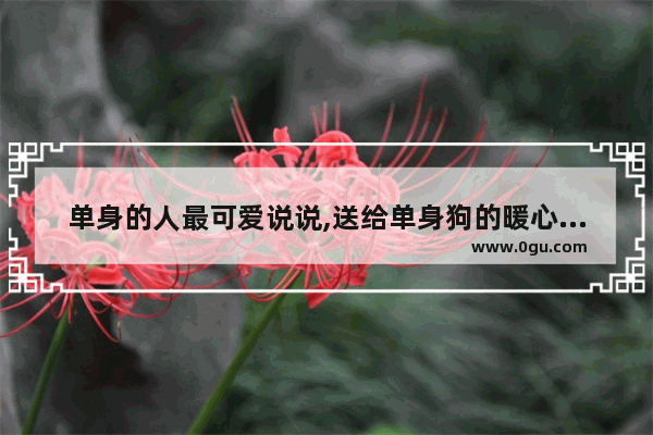 单身的人最可爱说说,送给单身狗的暖心句子简短