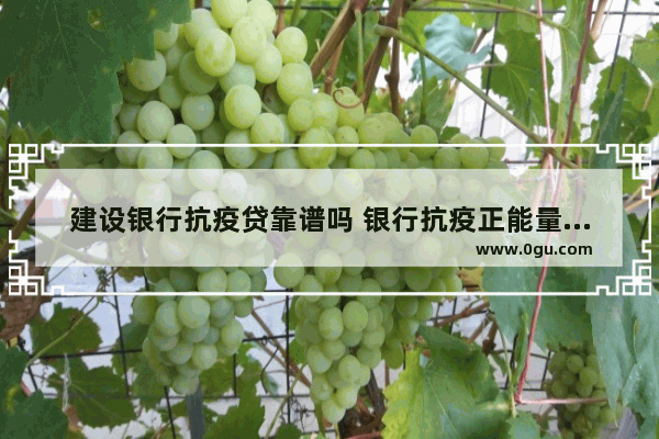 建设银行抗疫贷靠谱吗 银行抗疫正能量句子励志