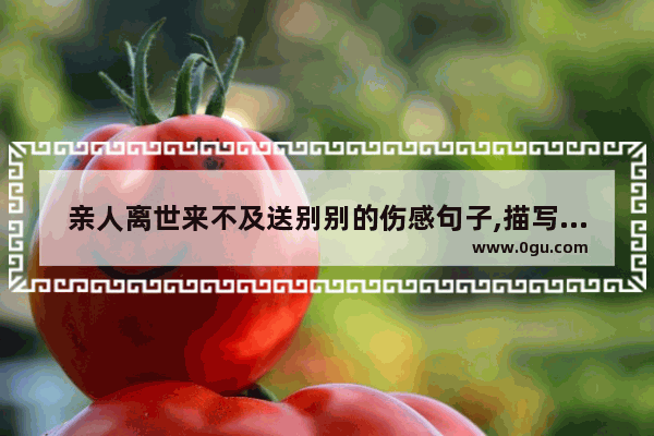 亲人离世来不及送别别的伤感句子,描写伤感的句子7字长篇