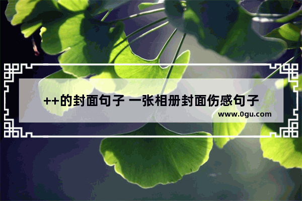 ++的封面句子 一张相册封面伤感句子