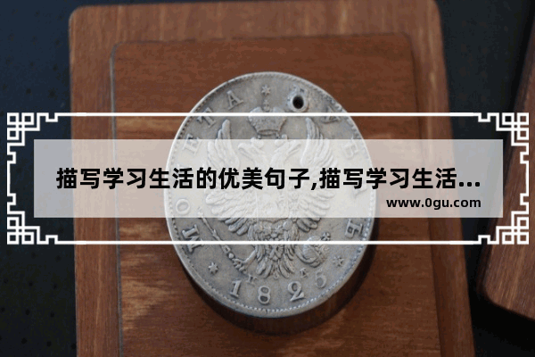 描写学习生活的优美句子,描写学习生活的优美句子
