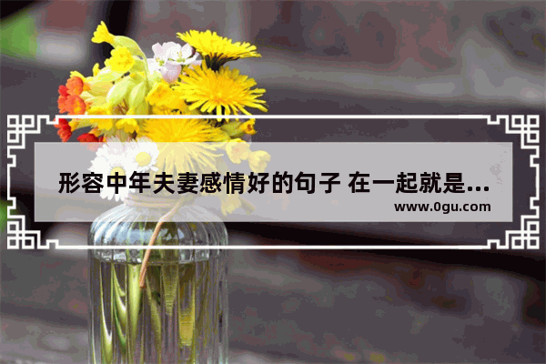 形容中年夫妻感情好的句子 在一起就是有感情的句子