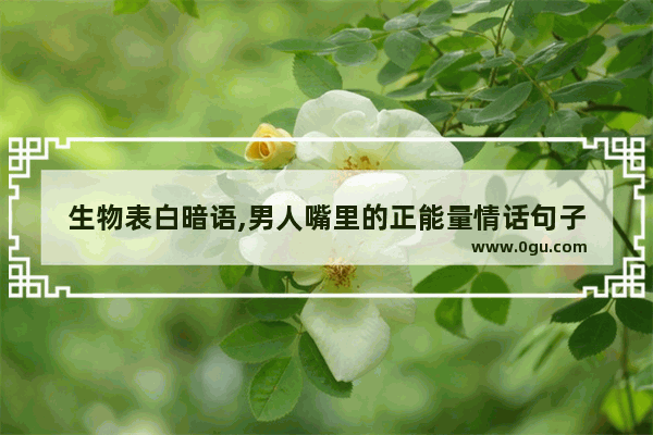 生物表白暗语,男人嘴里的正能量情话句子