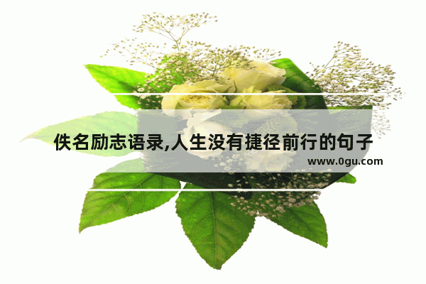 佚名励志语录,人生没有捷径前行的句子