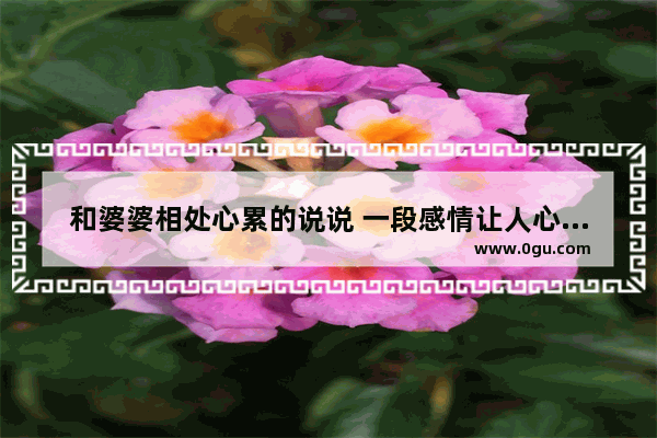 和婆婆相处心累的说说 一段感情让人心累的句子