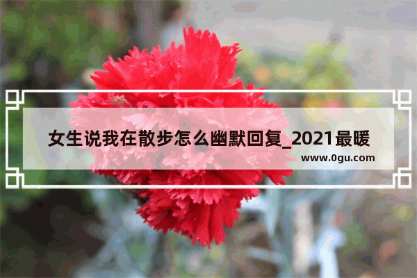 女生说我在散步怎么幽默回复_2021最暖心抗疫事迹