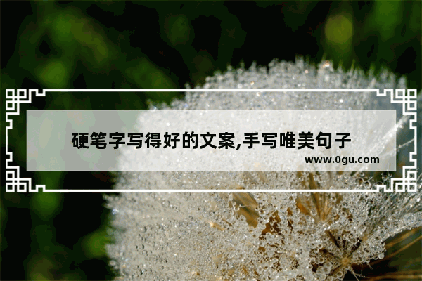 硬笔字写得好的文案,手写唯美句子