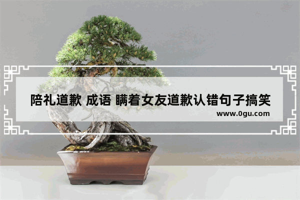 陪礼道歉 成语 瞒着女友道歉认错句子搞笑