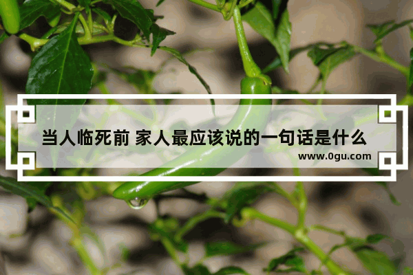 当人临死前 家人最应该说的一句话是什么 生活中所有遗憾的句子