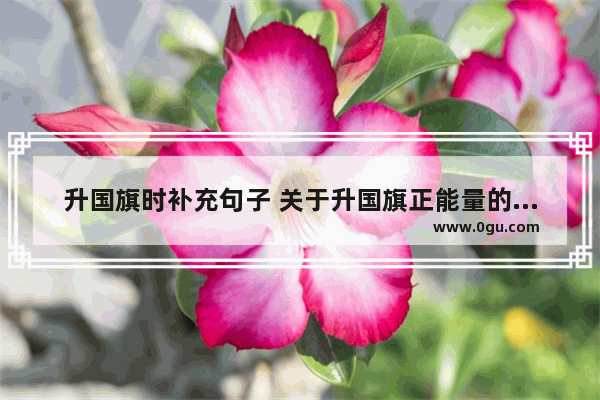 升国旗时补充句子 关于升国旗正能量的句子