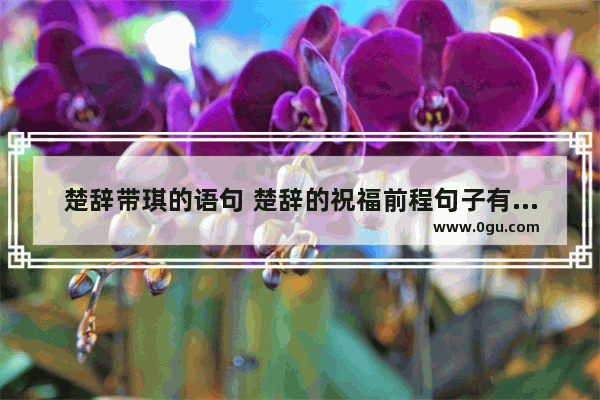 楚辞带琪的语句 楚辞的祝福前程句子有哪些