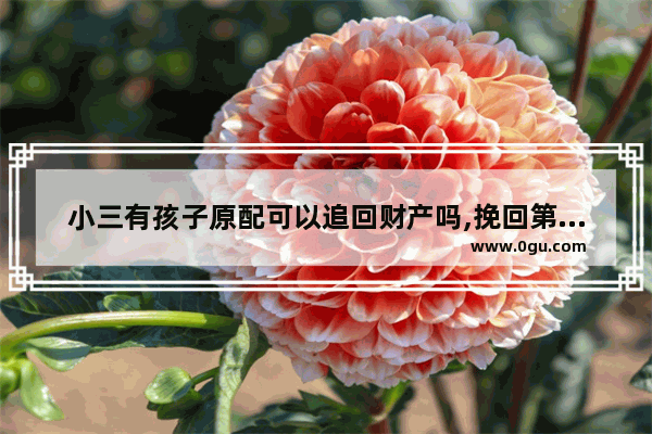 小三有孩子原配可以追回财产吗,挽回第三者感情的句子