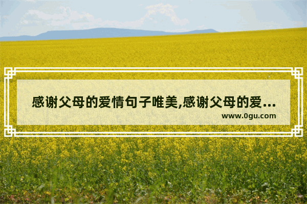 感谢父母的爱情句子唯美,感谢父母的爱情句子唯美