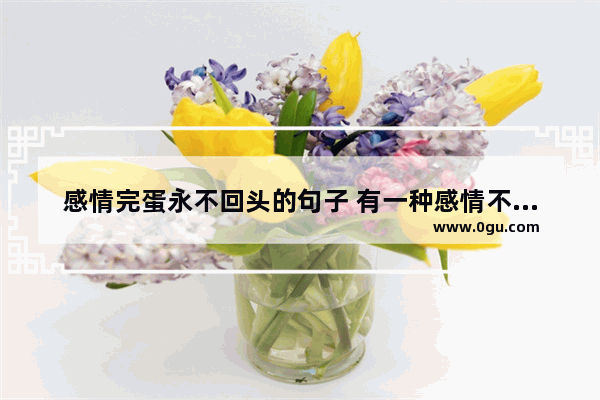 感情完蛋永不回头的句子 有一种感情不能挽回的句子