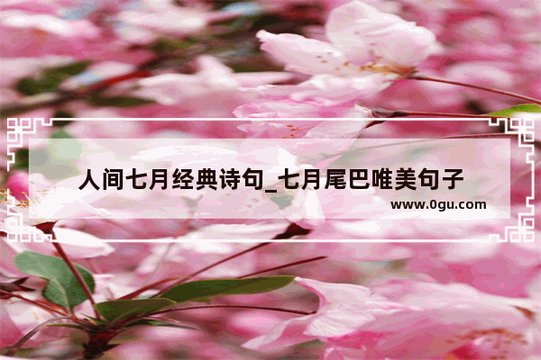 人间七月经典诗句_七月尾巴唯美句子