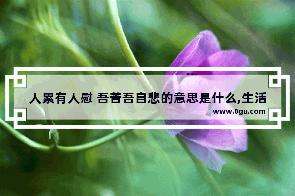 人累有人慰 吾苦吾自悲的意思是什么,生活有累有点苦的伤感句子