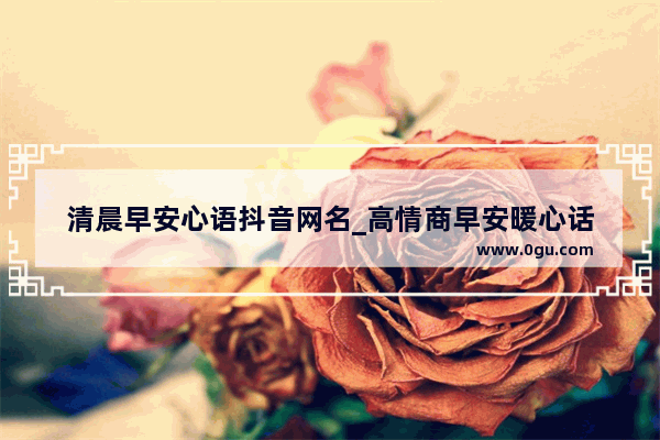 清晨早安心语抖音网名_高情商早安暖心话