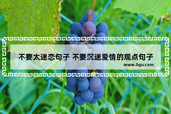 不要太迷恋句子 不要沉迷爱情的观点句子