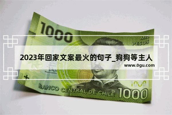 2023年回家文案最火的句子_狗狗等主人回家的句子