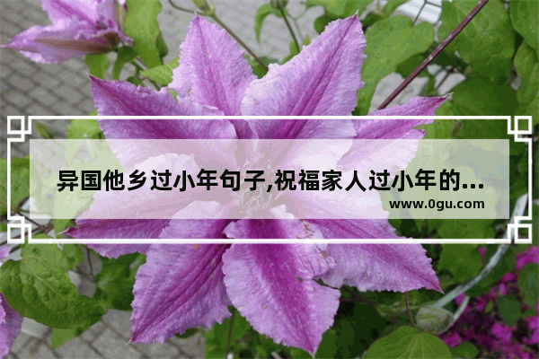异国他乡过小年句子,祝福家人过小年的句子