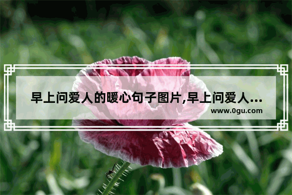 早上问爱人的暖心句子图片,早上问爱人的暖心句子图片