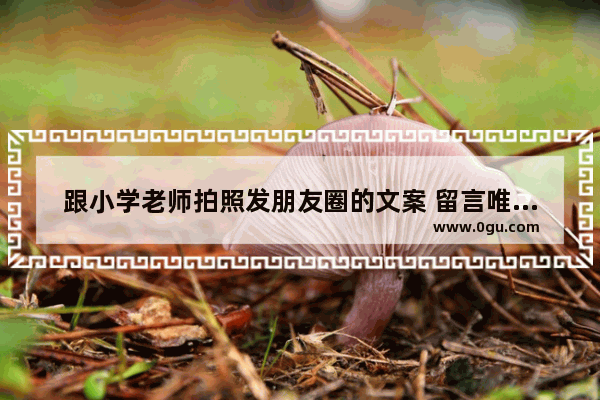 跟小学老师拍照发朋友圈的文案 留言唯美句子老师