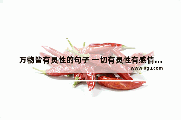 万物皆有灵性的句子 一切有灵性有感情的句子