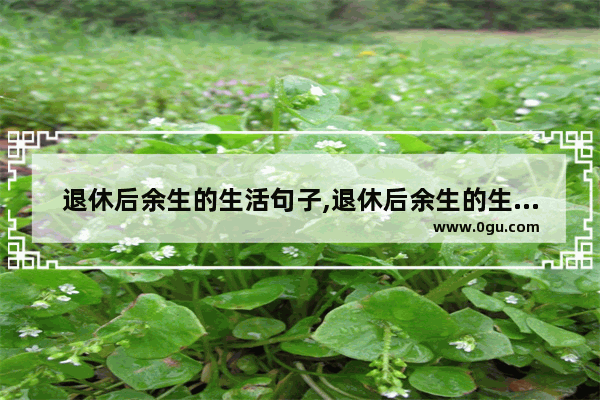 退休后余生的生活句子,退休后余生的生活句子
