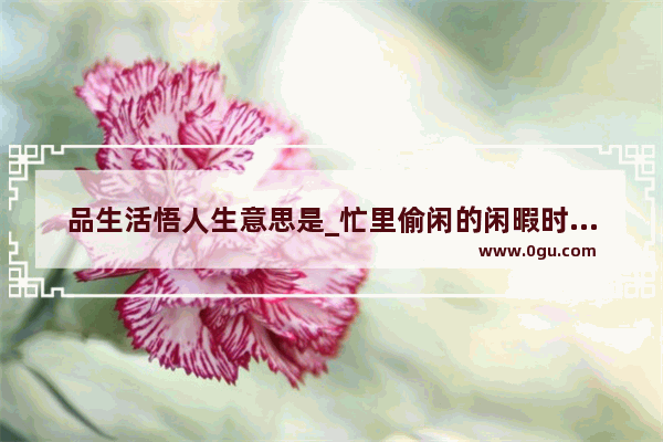 品生活悟人生意思是_忙里偷闲的闲暇时光的唯美句子