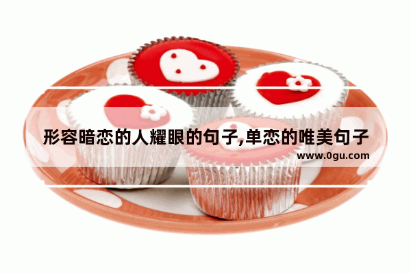 形容暗恋的人耀眼的句子,单恋的唯美句子