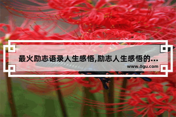 最火励志语录人生感悟,励志人生感悟的句子说说