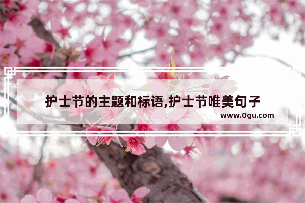 护士节的主题和标语,护士节唯美句子