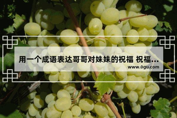 用一个成语表达哥哥对妹妹的祝福 祝福哥哥对妹妹好的句子