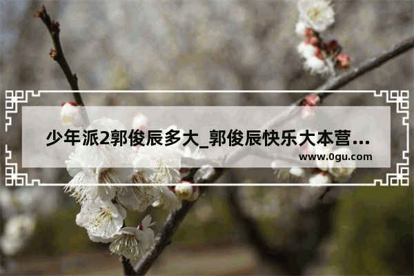 少年派2郭俊辰多大_郭俊辰快乐大本营哪期