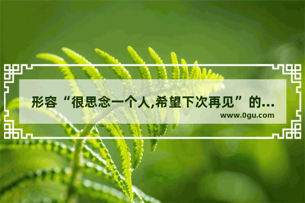 形容“很思念一个人,希望下次再见”的句子有哪些,想好了再写的爱情句子