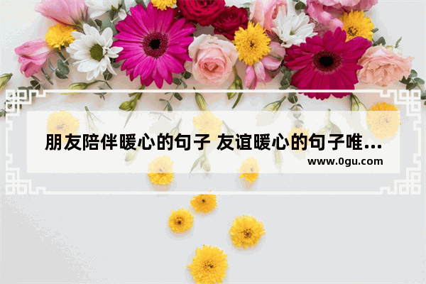 朋友陪伴暖心的句子 友谊暖心的句子唯美的画面