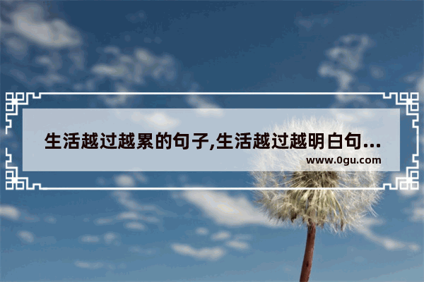 生活越过越累的句子,生活越过越明白句子说说