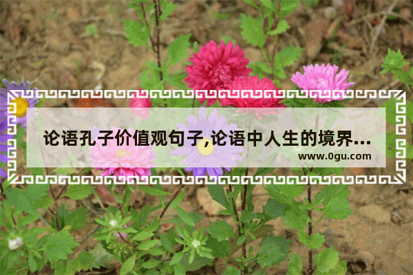 论语孔子价值观句子,论语中人生的境界句子