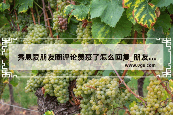 秀恩爱朋友圈评论羡慕了怎么回复_朋友圈朋友说羡慕怎么幽默回复