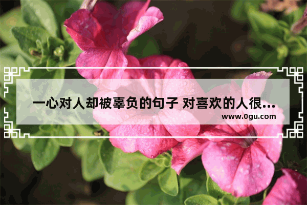 一心对人却被辜负的句子 对喜欢的人很绝情的句子