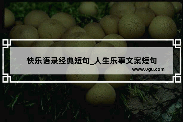 快乐语录经典短句_人生乐事文案短句