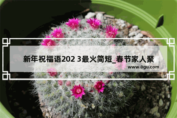新年祝福语202 3最火简短_春节家人聚餐通知怎么写